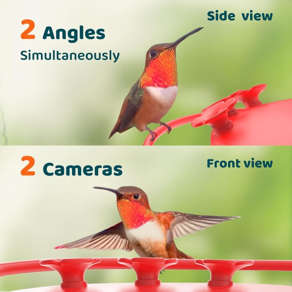 Birdfy Hum Feeder (Hummingbird Edition)